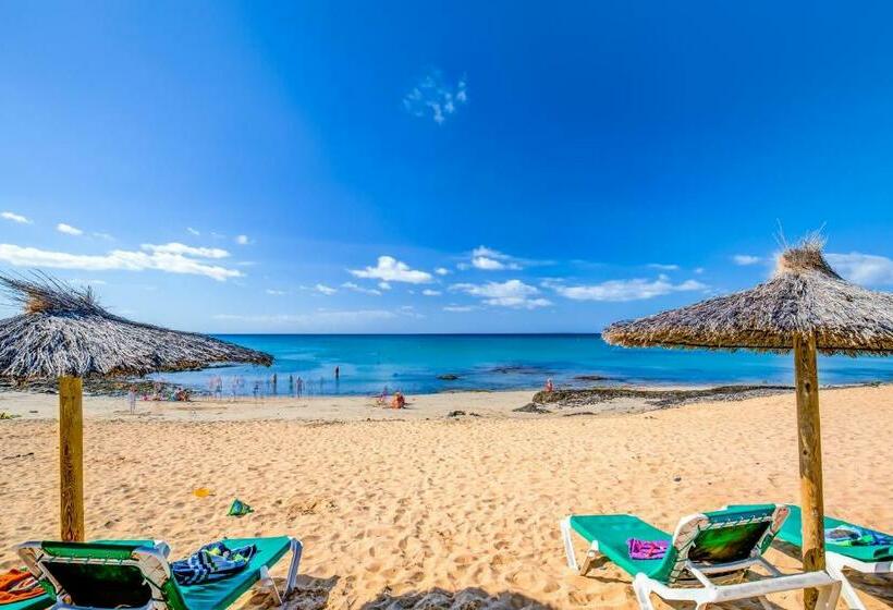 带海景标准单人间, Sbh Costa Calma Beach Resort