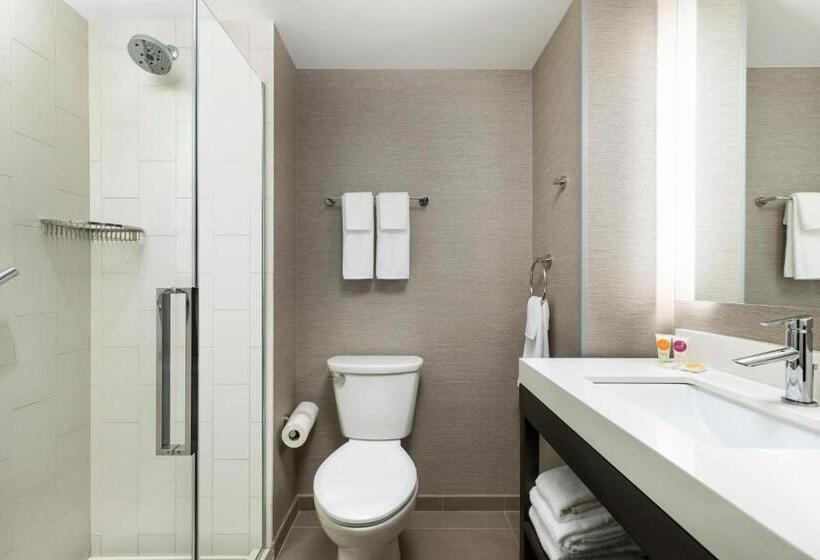 اتاق استاندارد با 2 تخت دوبل, Hyatt Place New York City Times Square
