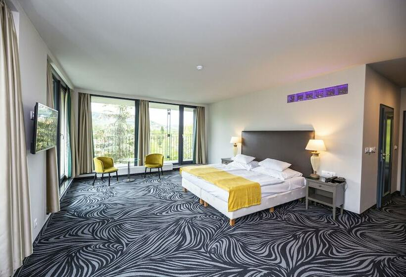 带1个卧室的豪华公寓, Parkhotel Carlsbad Inn