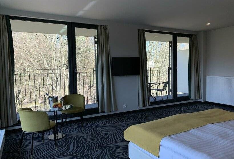 带1个卧室的豪华公寓, Parkhotel Carlsbad Inn