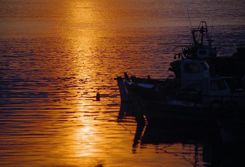 Номер Стандарт Вид на Море, Vlassis