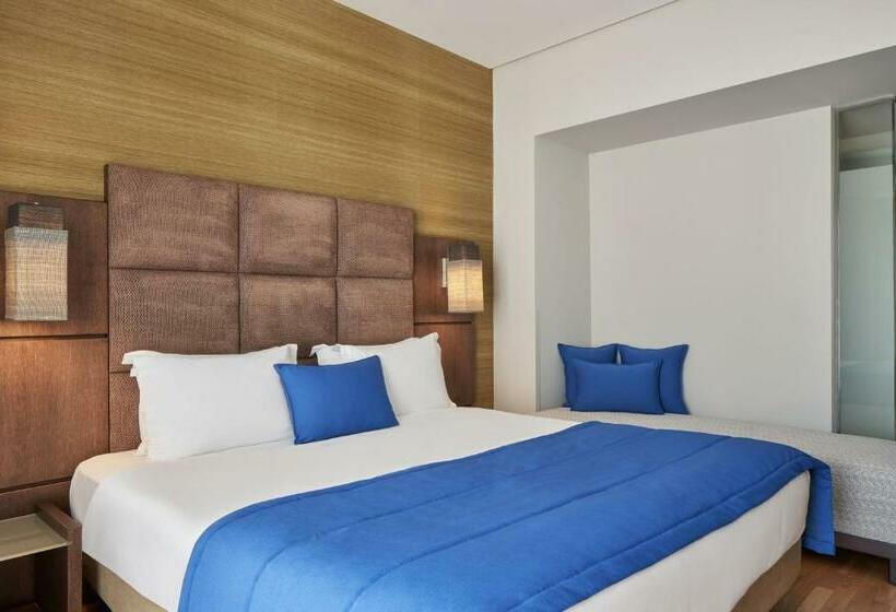 수피리어 전망 룸, Arion Athens