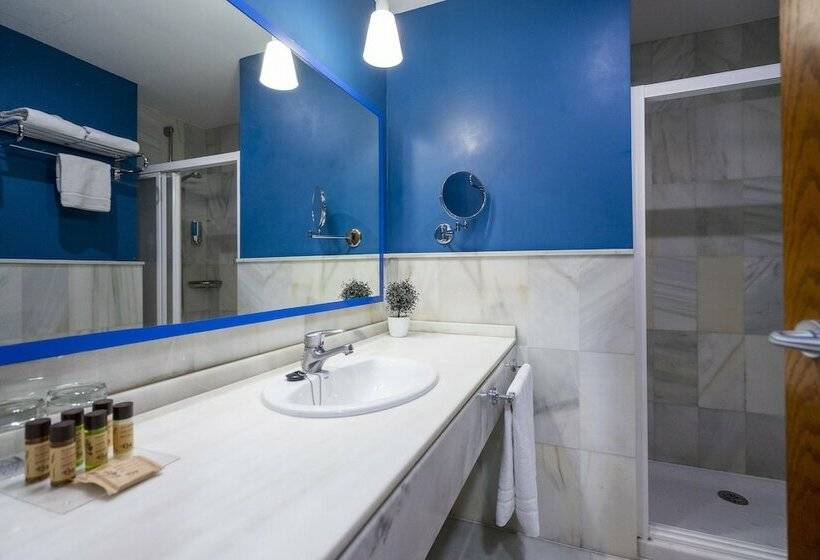 اتاق استاندارد یک نفره, Atarazanas Malaga Boutique