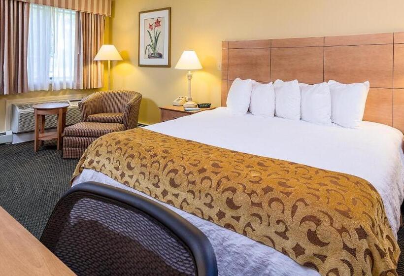 Люкс Кровать Кинг, Best Western Inn & Suites Rutland Killington