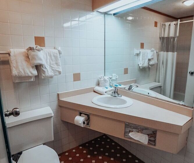 Номер Стандарт, Lamplighter Inn And Suites  North