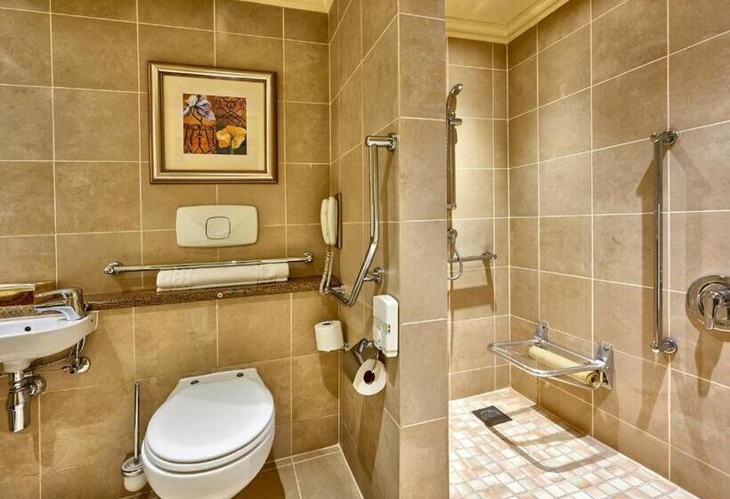 اتاق استاندارد با تخت بزرگ برای معلولان, Peermont D Oreale Grande At Emperors Palace