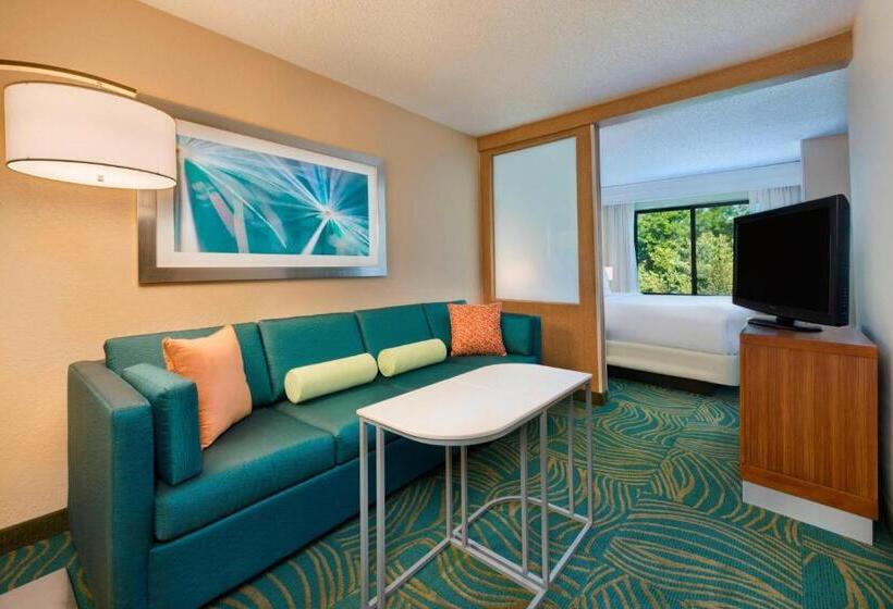 Люкс Кровать Кинг, Springhill Suites Mishawaka University Area