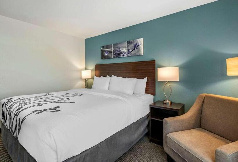 Номер Стандарт Кровать Кинг Адаптированный для Инвалидов, Sleep Inn Durango