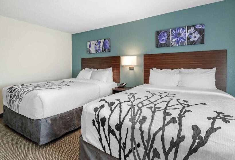 Номер Стандарт 2 Двуспальные Кровати, Sleep Inn Durango