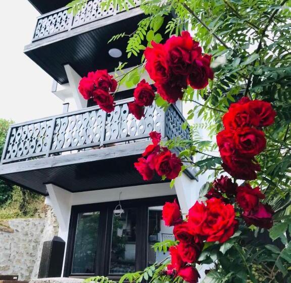 آپارتمان 1 خوابه, Old City House
