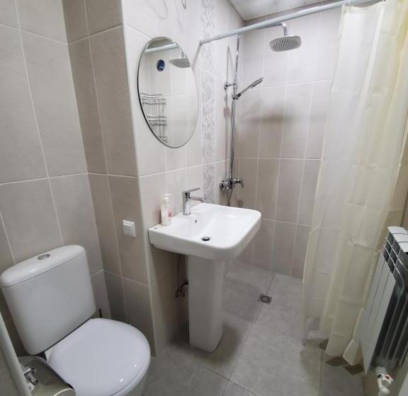 اتاق استاندارد یک نفره, Central Guesthouse Gyumri