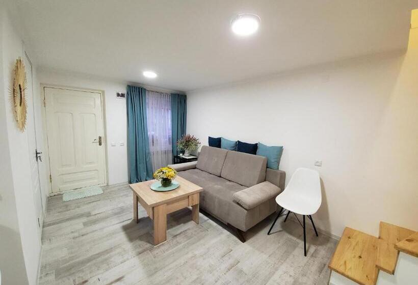 اتاق استاندارد یک نفره, Central Guesthouse Gyumri