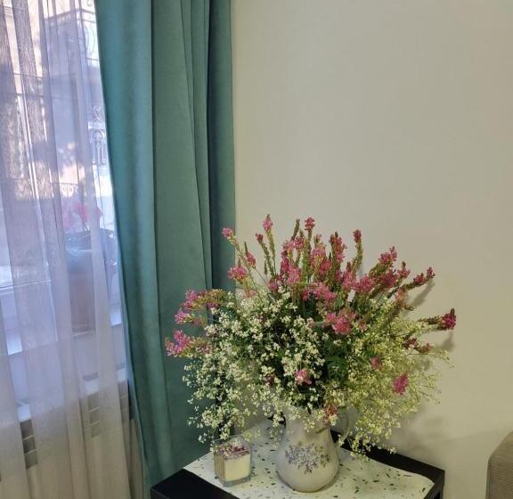 اتاق استاندارد یک نفره, Central Guesthouse Gyumri