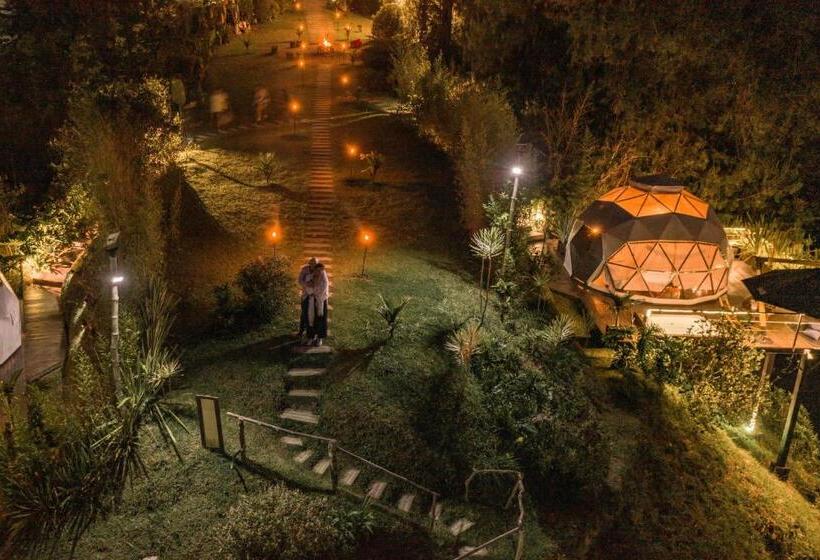 اتاق لوکس, Domus Glamping Guatapé