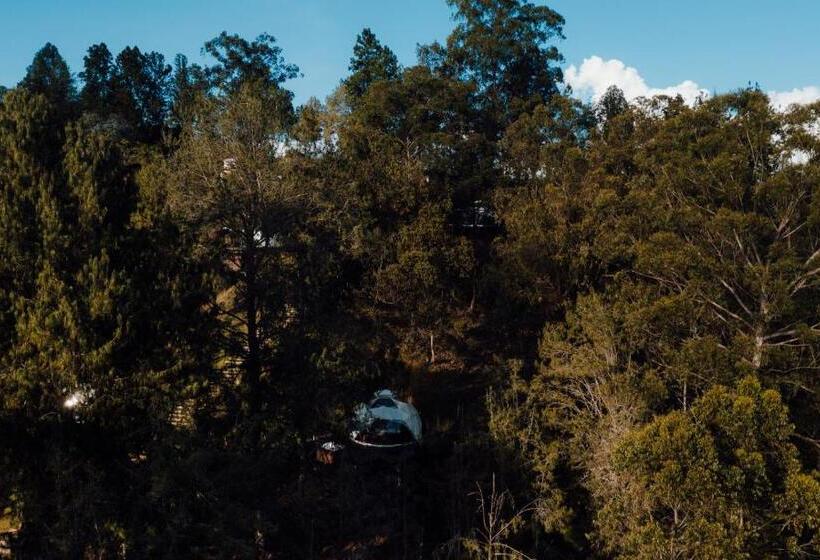 اتاق لوکس, Domus Glamping Guatapé