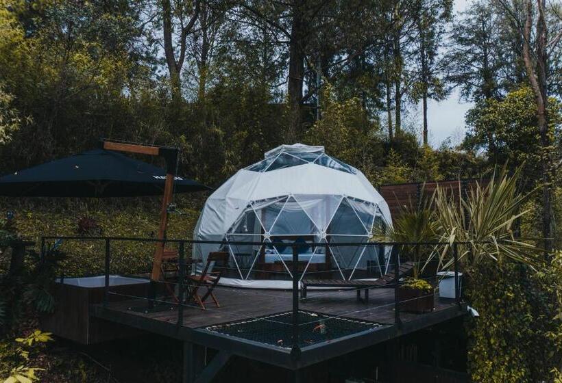 اتاق لوکس, Domus Glamping Guatapé