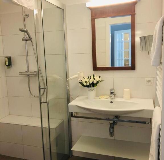 اتاق استاندارد یک نفره, Schloss Kurhotel Strobl