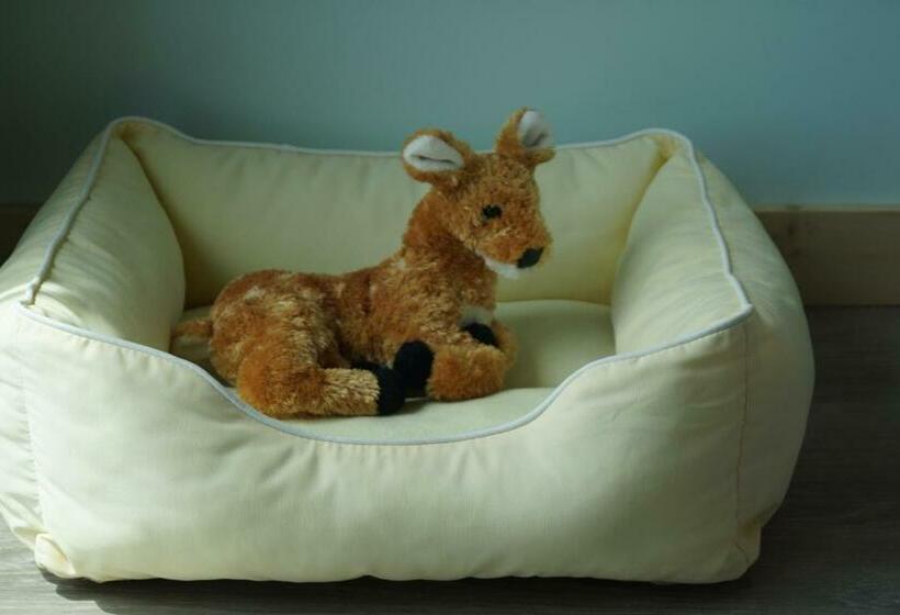 חדר דחוקס עם מיטת קינג, Deer Run On The Atlantic
