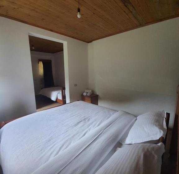 Pokój Basic Trzyosobowy, Guest House Flodisa