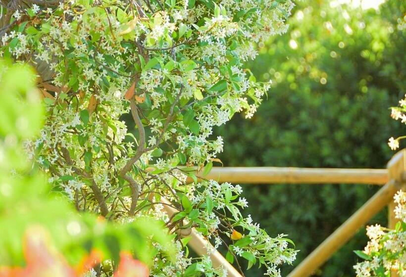 آپارتمان 1 خوابه, Azienda Agrituristica Il Giuggiolo