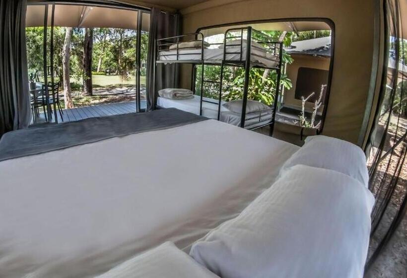 Standard Tent, Big4 Noosa North Shore