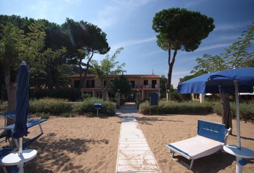استودیوی استاندارد, Voce Del Mare