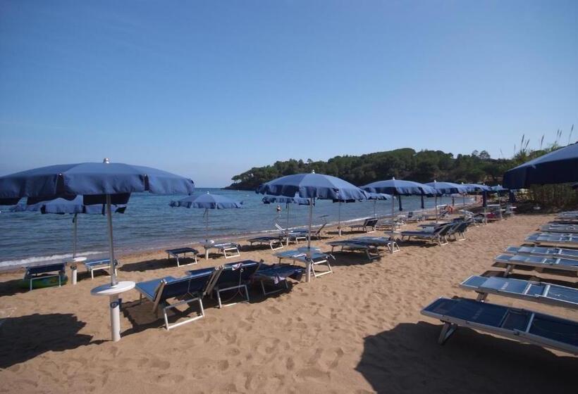 استودیوی استاندارد, Voce Del Mare
