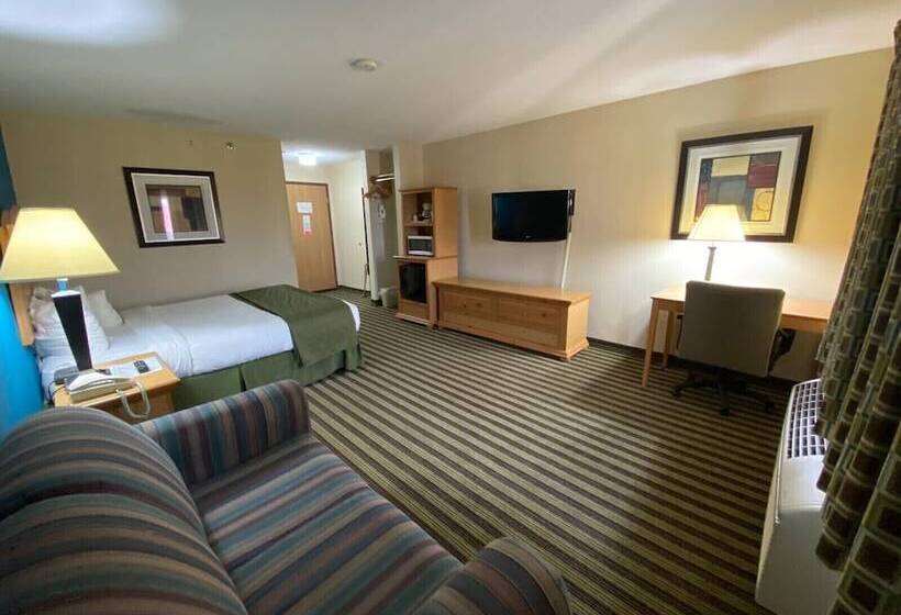 Люкс, American Inn And Suites