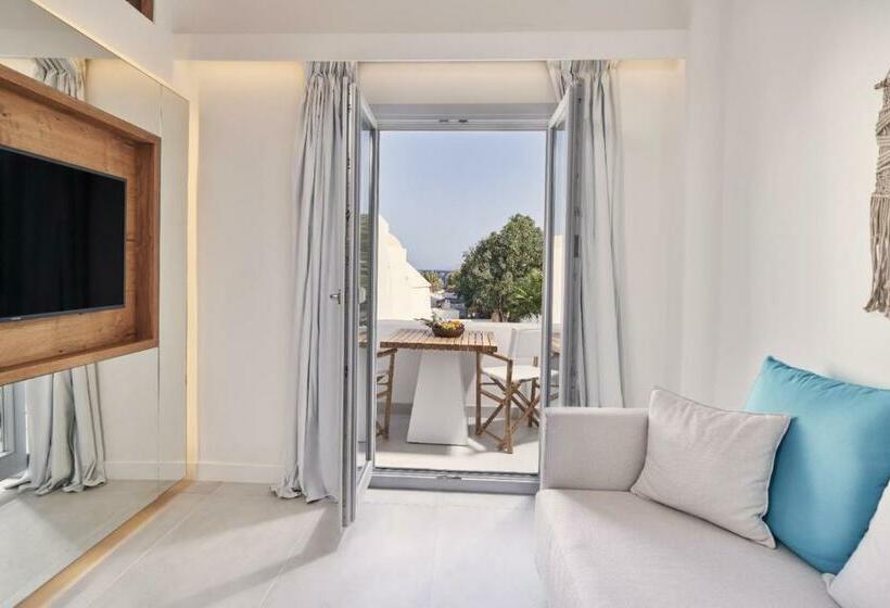 اتاق استاندارد با چشم‌انداز دریا, Nikki Beach Resort & Spa Santorini