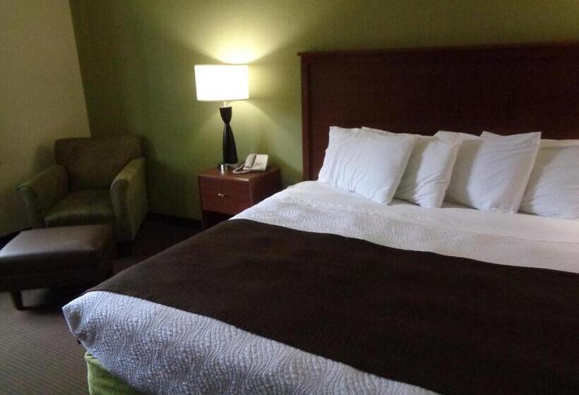 Стандартный Номер Кровать Кинг, Americinn By Wyndham Grand Rapids