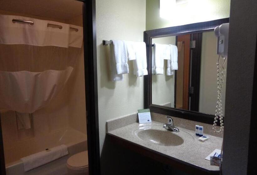 스위트 킹사이즈 침대, Americinn By Wyndham Grand Rapids