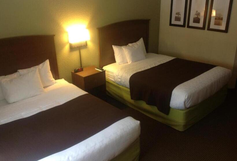 스탠다드 룸, Cobblestone Hotel & Suites   Wisconsin Rapids