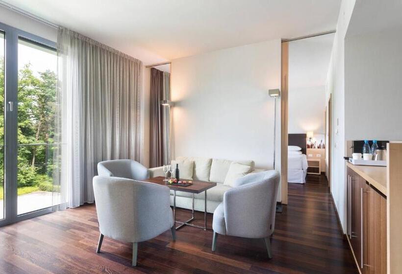 سوئیت اجرایی با تخت کینگ, Four Points By Sheraton Ljubljana Mons