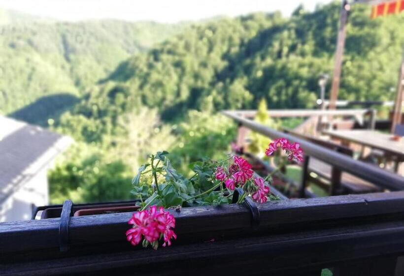 수피리어 룸, Rodopsko Katche