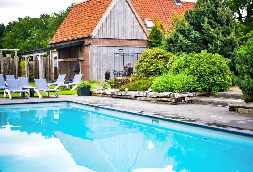 Номер Стандарт, Wellnesshotel Spabron