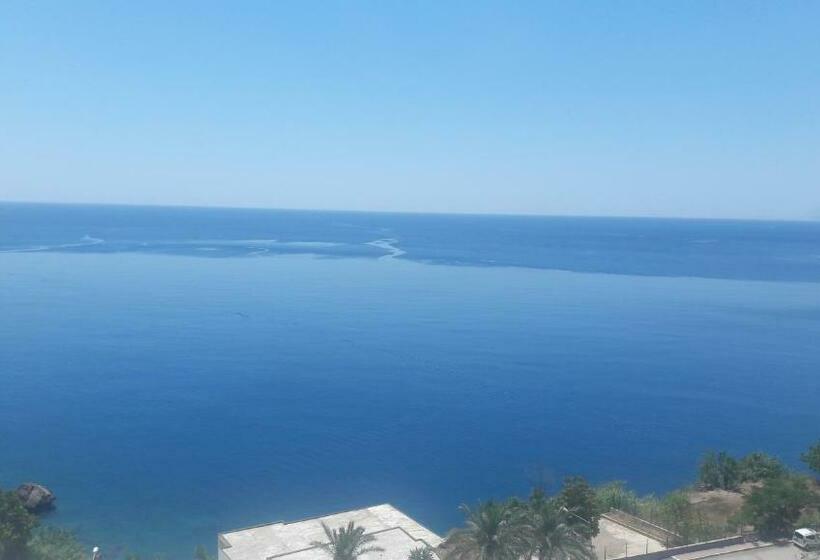 اتاق استاندارد سه نفره, Cender