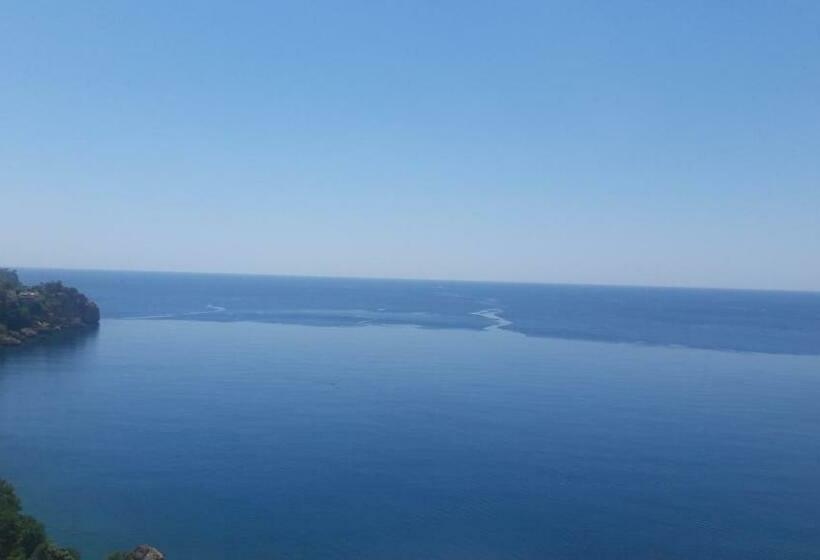 اتاق استاندارد, Cender