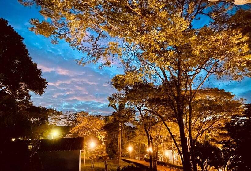 수피리어 패밀리 룸, Fazenda Juca Mulato