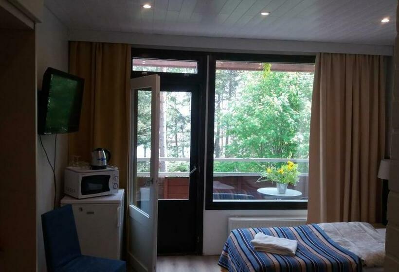 스탠다드 룸 바다 전망, Sea Hotel Mäntyniemi
