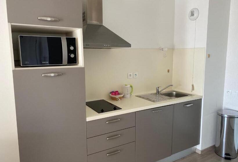 Студия Стандарт, Domitys Les Tours D Or
