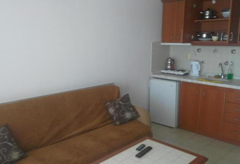 آپارتمان 1 خوابه با بالکن, Holiday Apart 50 Meters To Beach, Sea View Apartments
