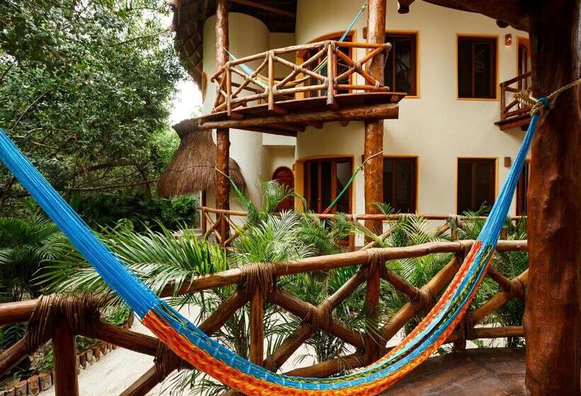 Полулюкс, Villas Hm Paraíso del Mar