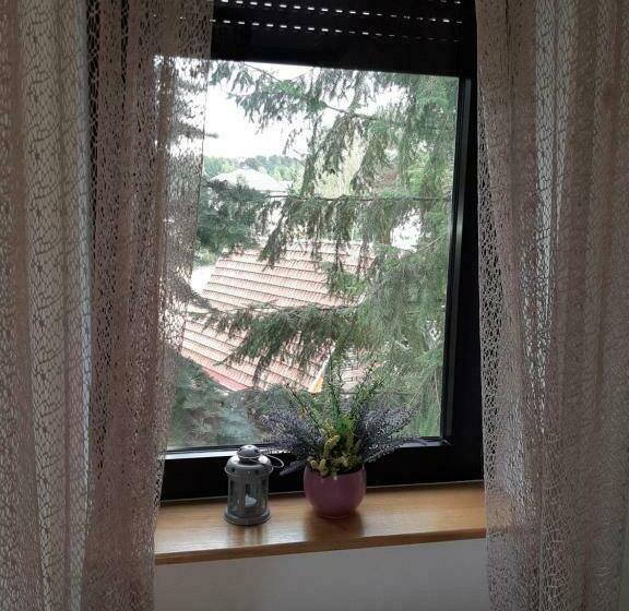 آپارتمان 1 خوابه, Apartman Nana Svetogorska 19 ,stan 17