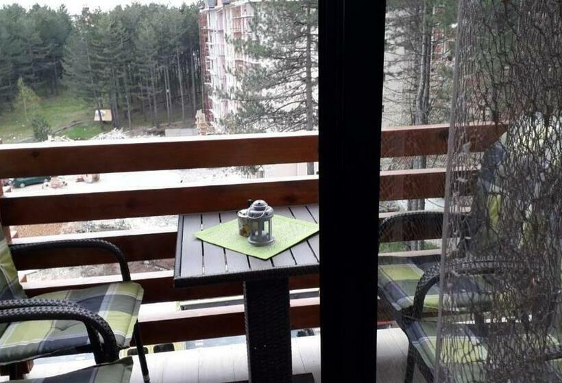 آپارتمان 1 خوابه, Apartman Nana Svetogorska 19 ,stan 17