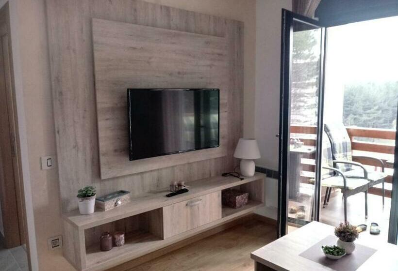 آپارتمان 1 خوابه, Apartman Nana Svetogorska 19 ,stan 17