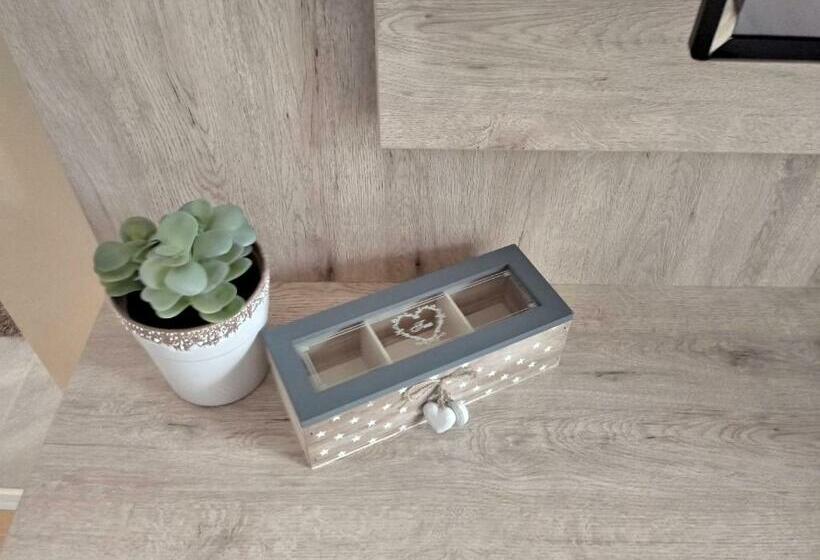 آپارتمان 1 خوابه, Apartman Nana Svetogorska 19 ,stan 17