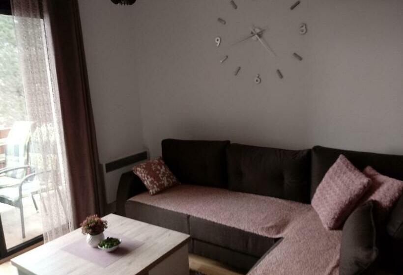 آپارتمان 1 خوابه, Apartman Nana Svetogorska 19 ,stan 17