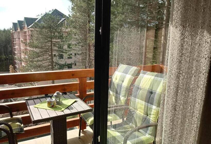 آپارتمان 1 خوابه, Apartman Nana Svetogorska 19 ,stan 17