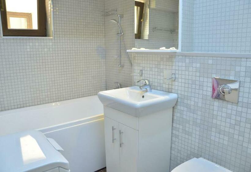 آپارتمان 1 خوابه, Decebal Residence Apartments