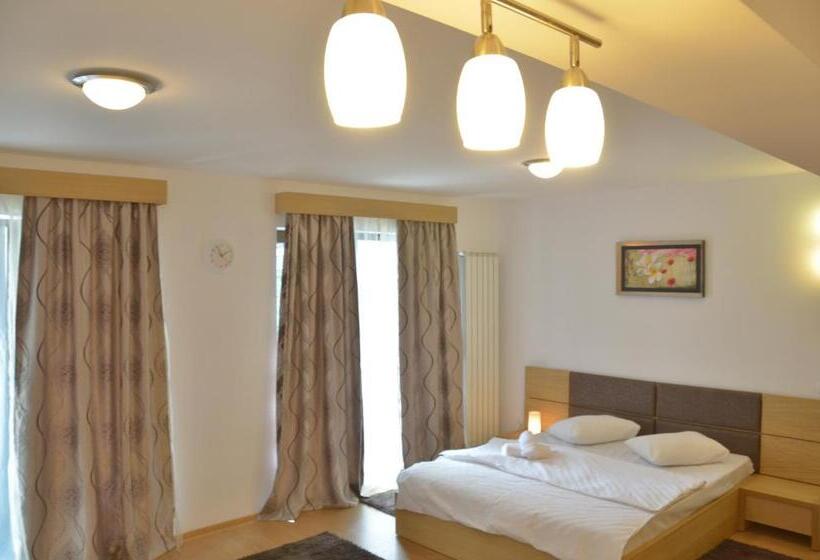استودیو استاندارد با تخت کینگ, Decebal Residence Apartments